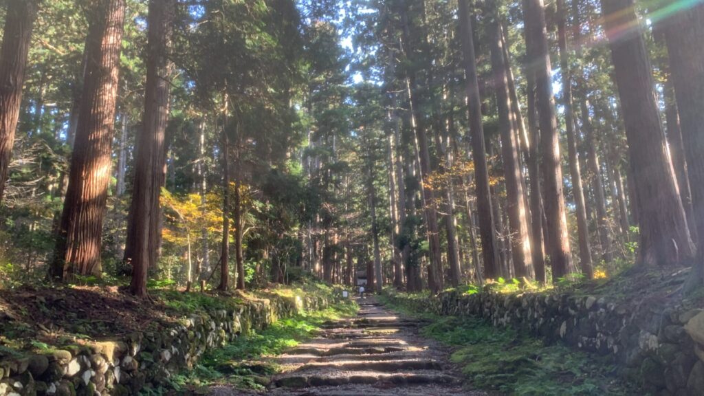 勝山市の平泉寺にサイクリングしに行った時に撮った写真。